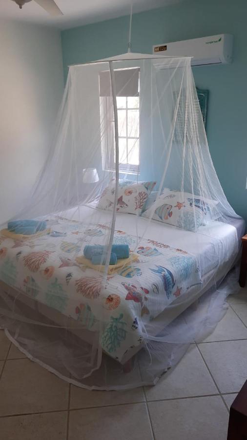 Villa Olivia Poolside Kralendijk na wyspie Bonaire Zewnętrze zdjęcie